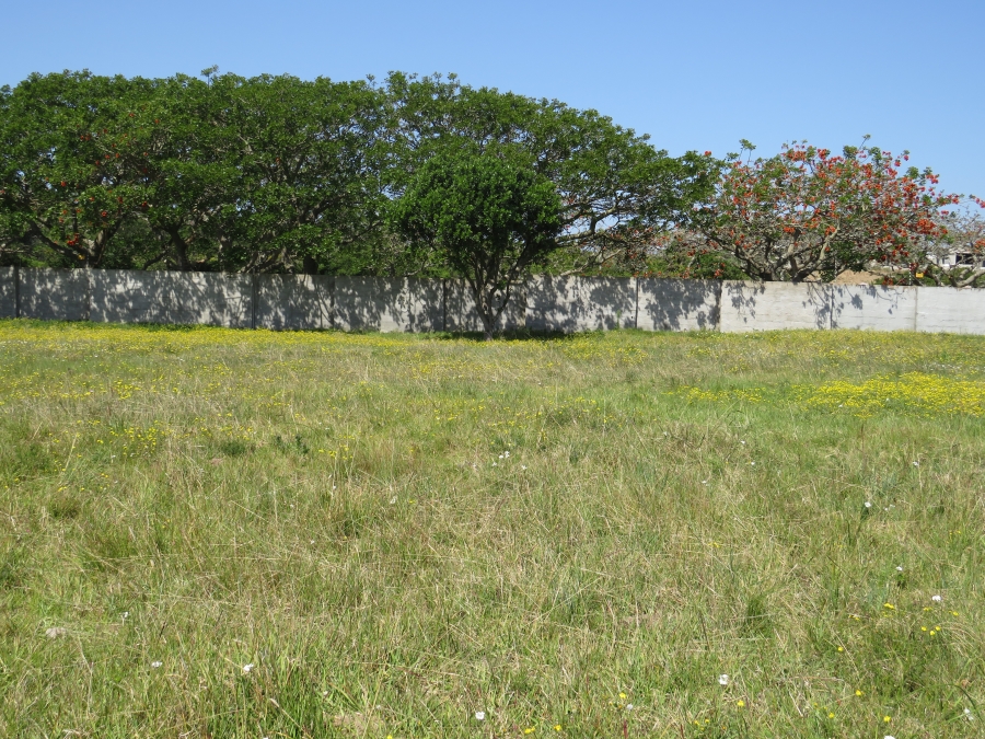 0 Bedroom Property for Sale in Boesmansriviermond Eastern Cape